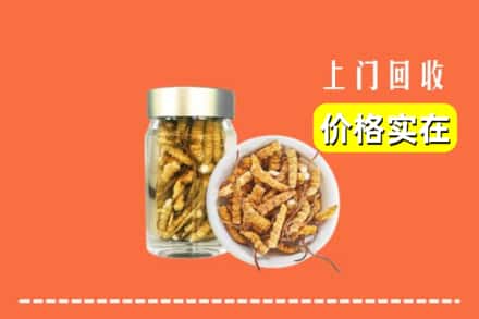 收购资讯:芜湖镜湖区回收散虫草