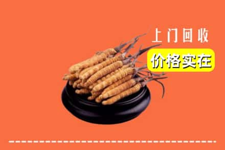 芜湖镜湖区回收冬虫夏草