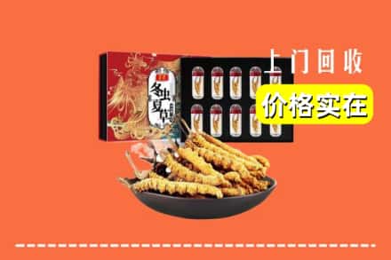 芜湖镜湖区回收虫草