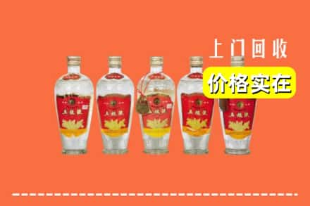 芜湖镜湖区回收老五粮液
